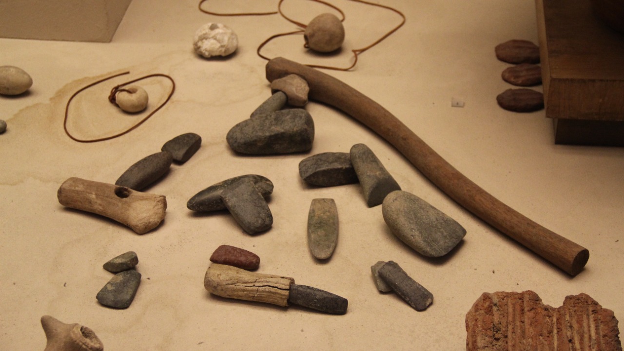 Image Credit: Gary Todd - CC0/Wiki Commons