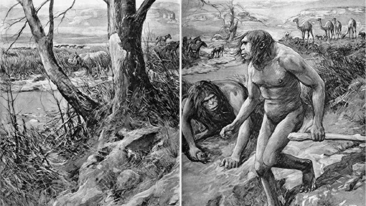 Image Credit: Amédée Forestier (1847-1930) - Public domain/Wiki Commons