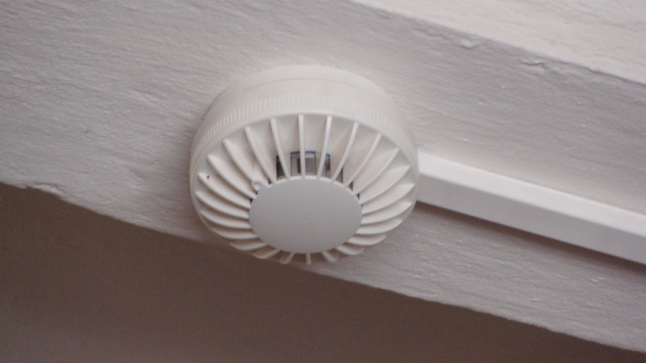 Image Credit: Georg Pik - CC0/Wiki Commons