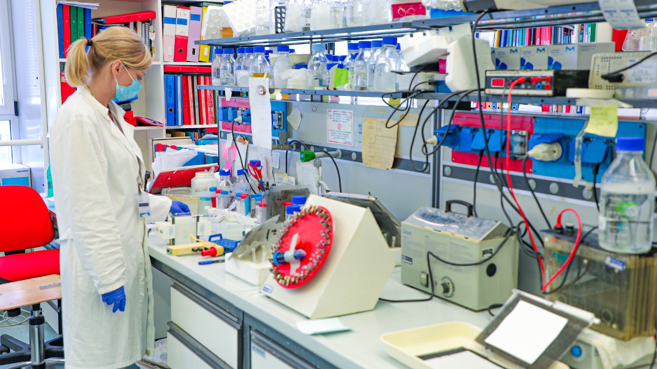 Image Credit: Ministério da Ciência, Tecnologia e Inovações from Brasília - DF, Brasil - CC BY 2.0/Wiki Commons