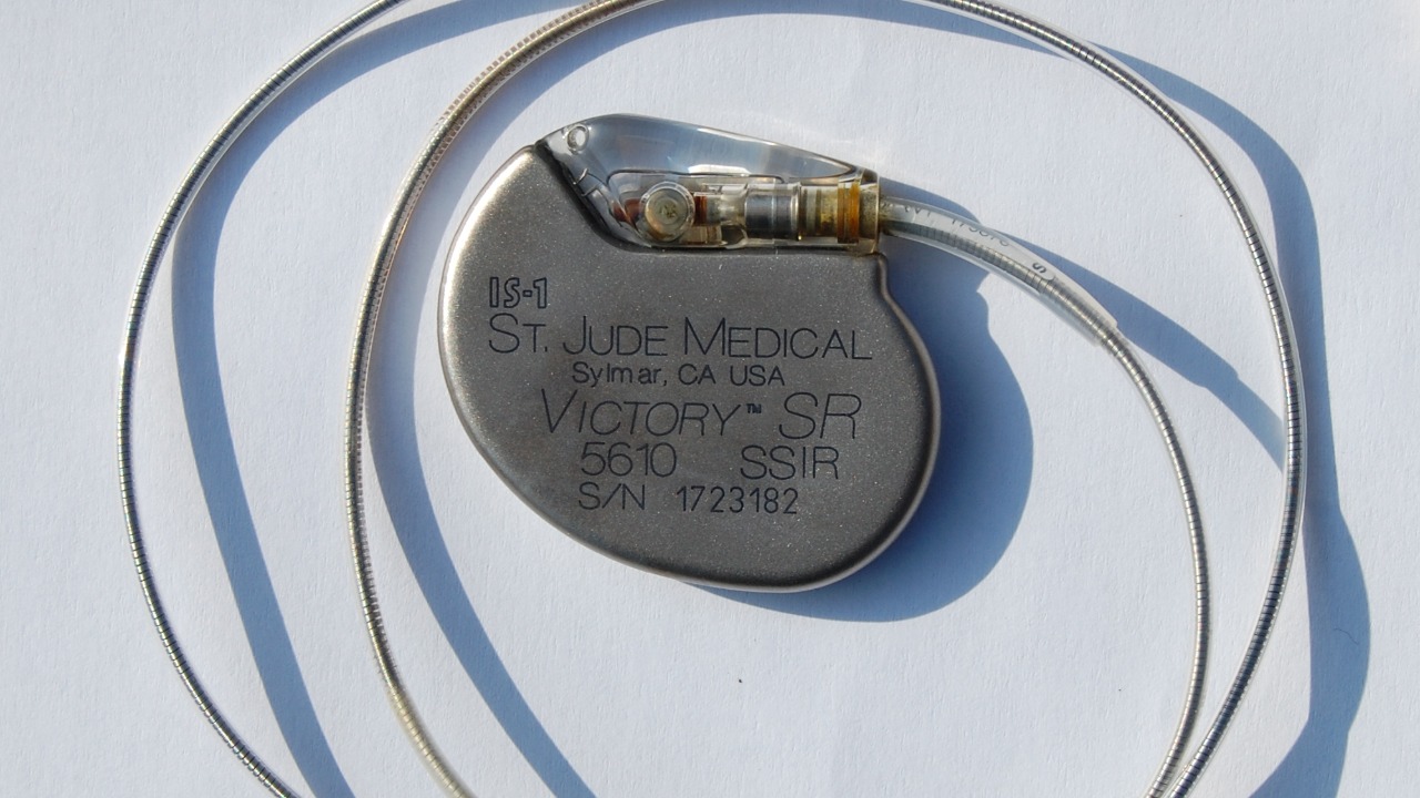 Image Credit: Steven Fruitsmaak - CC BY 3.0/Wiki Commons