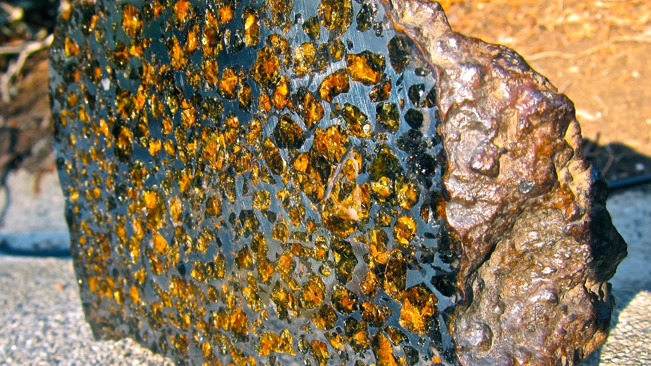 Image Credit: Steve Jurvetson - CC BY 2.0/Wiki Commons