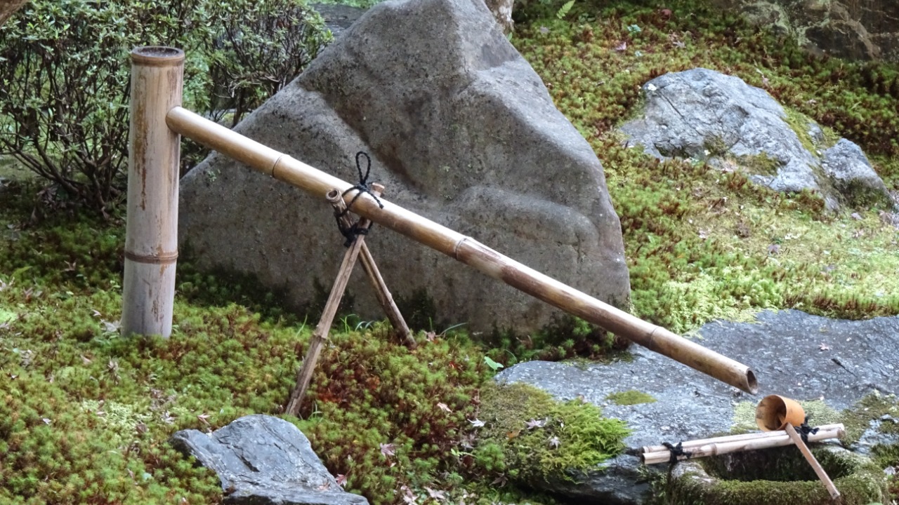 Image Credit: Michael Coghlan from Adelaide, Australia - CC BY-SA 2.0/Wiki Commons