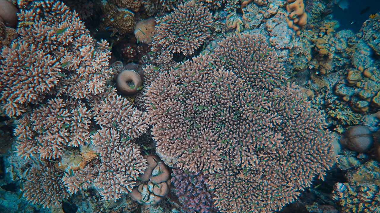 francesco_ungaro/Unsplash