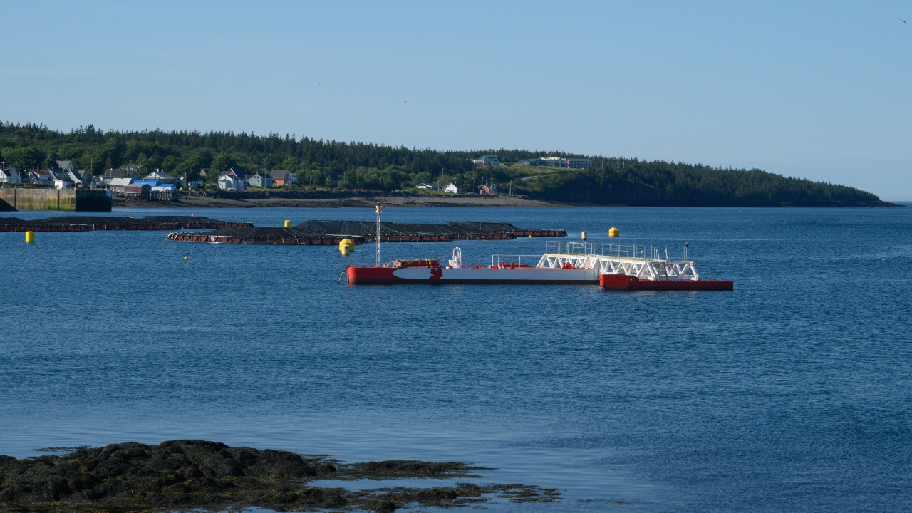 Image Credit: Gordon Leggett - CC BY 4.0/Wiki Commons