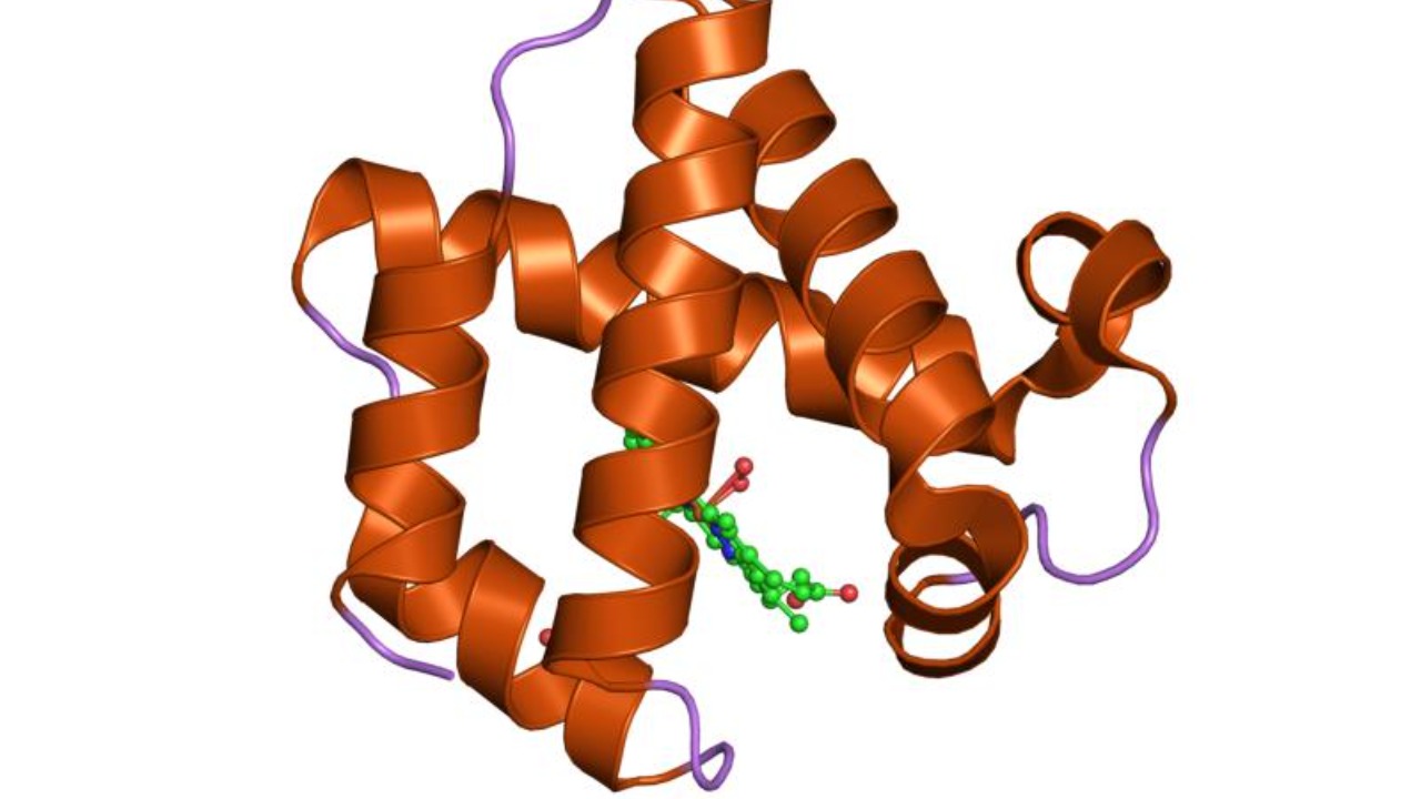 Image Credit: Jawahar Swaminathan and MSD staff at the European Bioinformatics Institute - Public domain/Wiki Commons