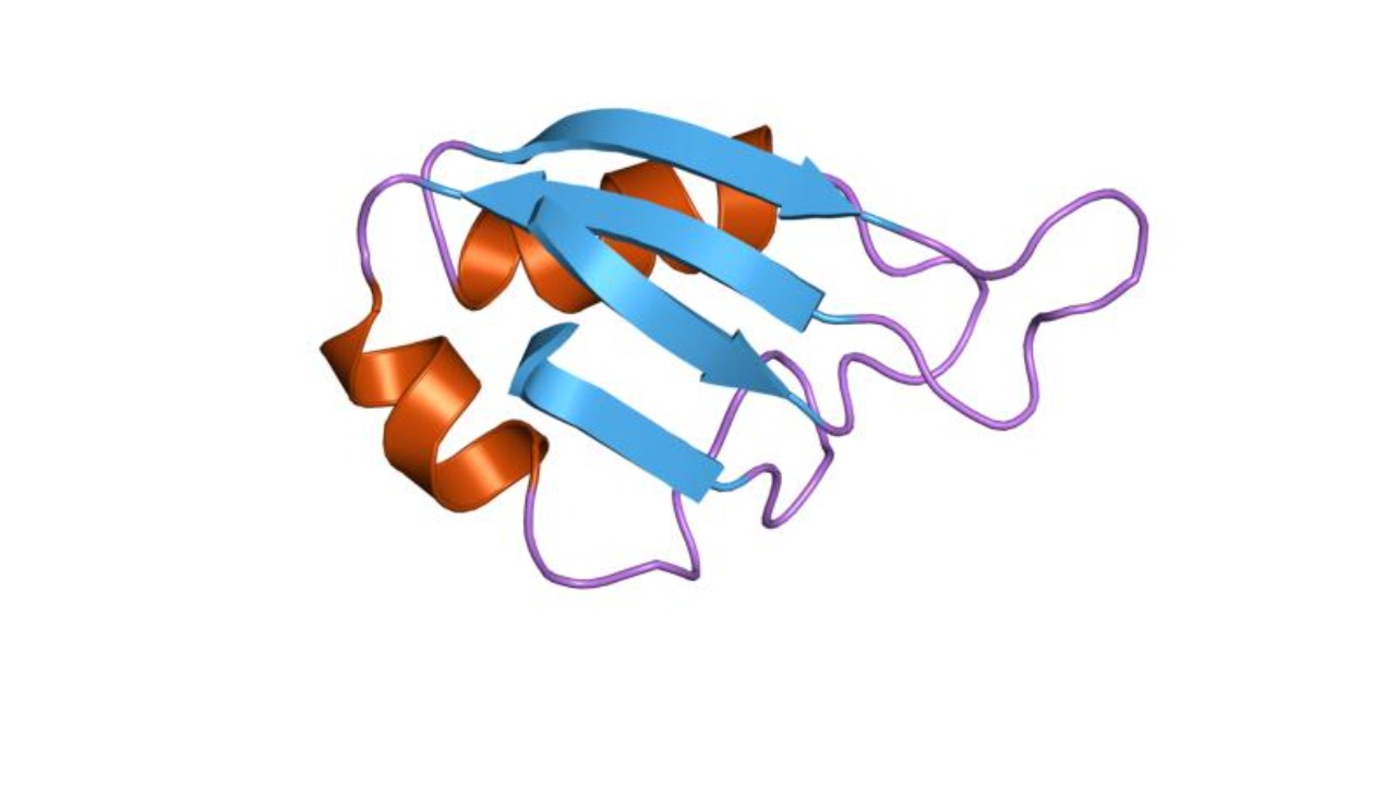 Image Credit: Jawahar Swaminathan and MSD staff at the European Bioinformatics Institute - Public domain/Wiki Commons