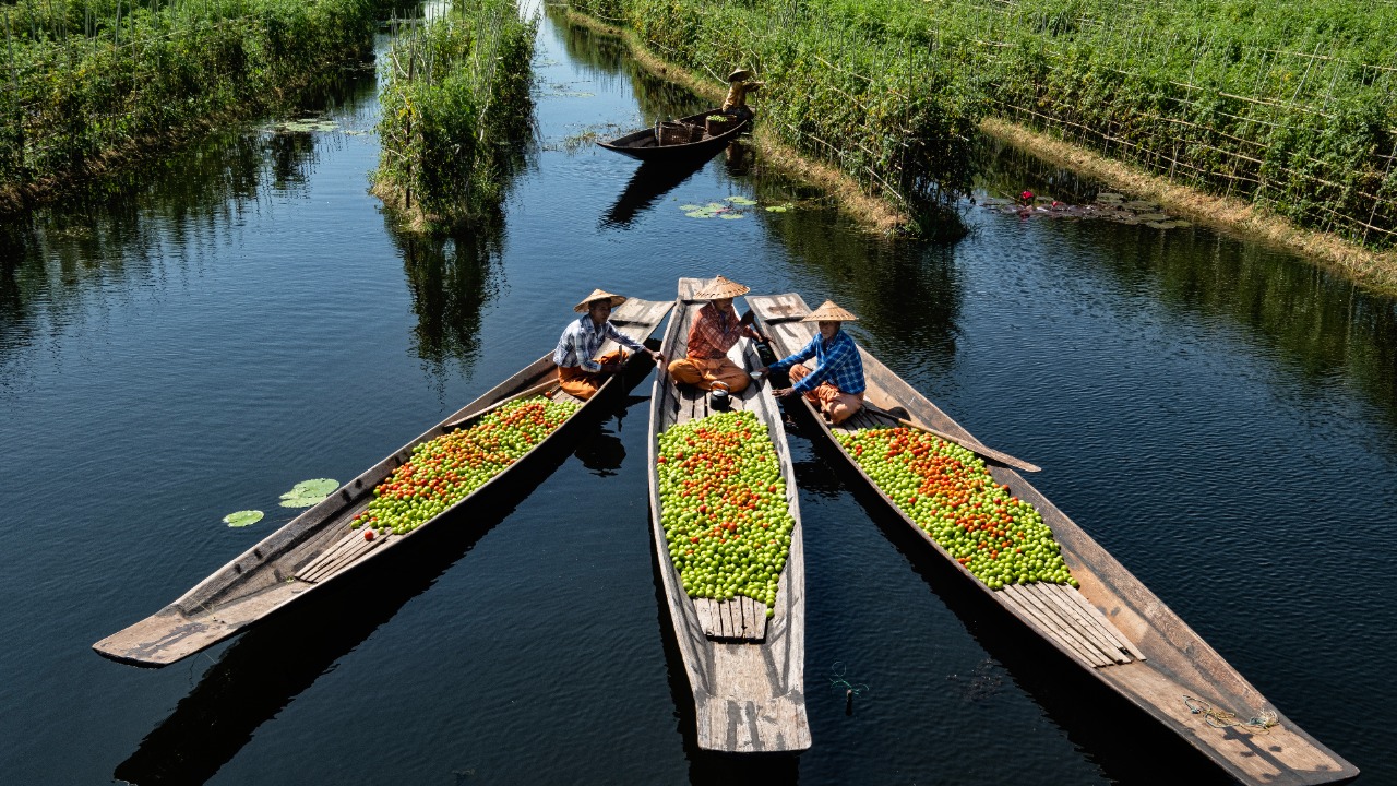 Image Credit: Sopyaylynn - CC BY-SA 4.0/Wiki Commons