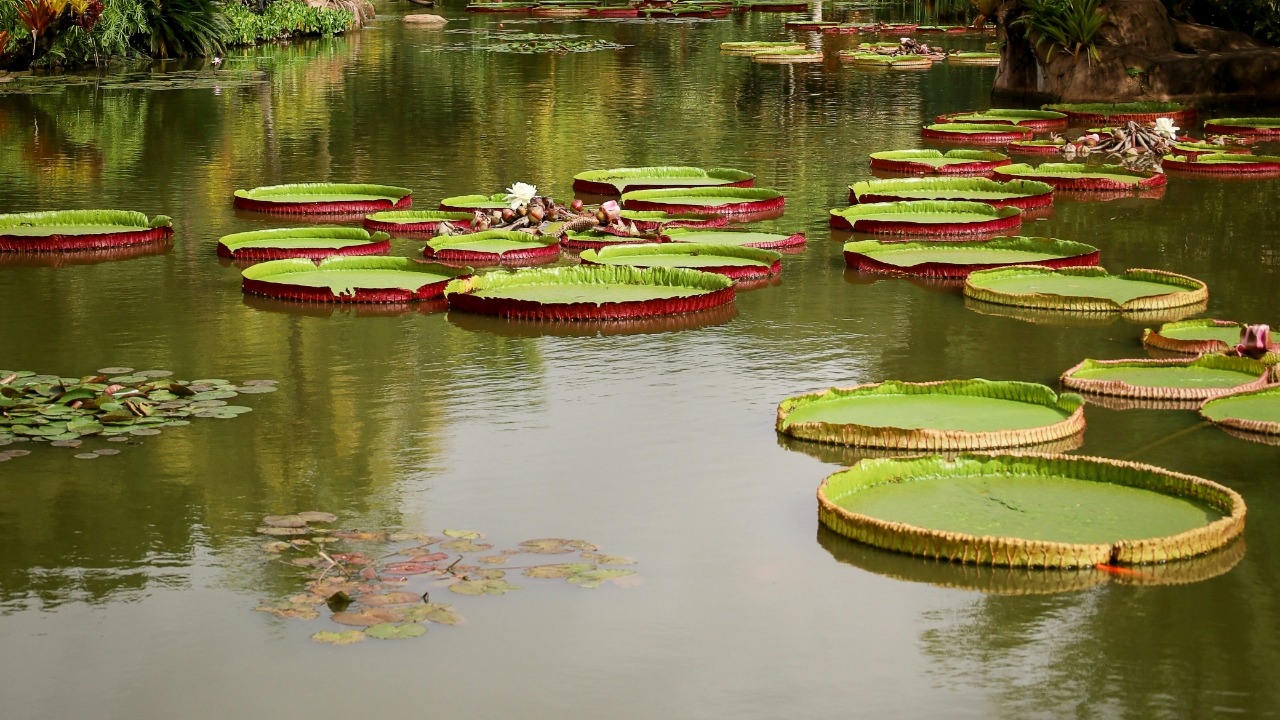 bonniekdesign/Unsplash