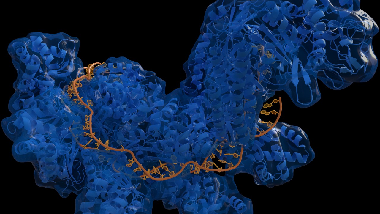 Image Credit: Thomas Splettstoesser (www.scistyle.com) - CC BY-SA 4.0/Wiki Commons