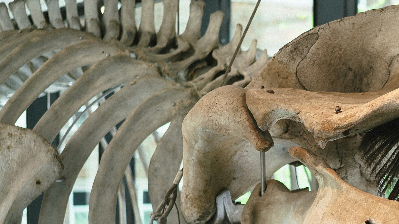 philhearing/Unsplash