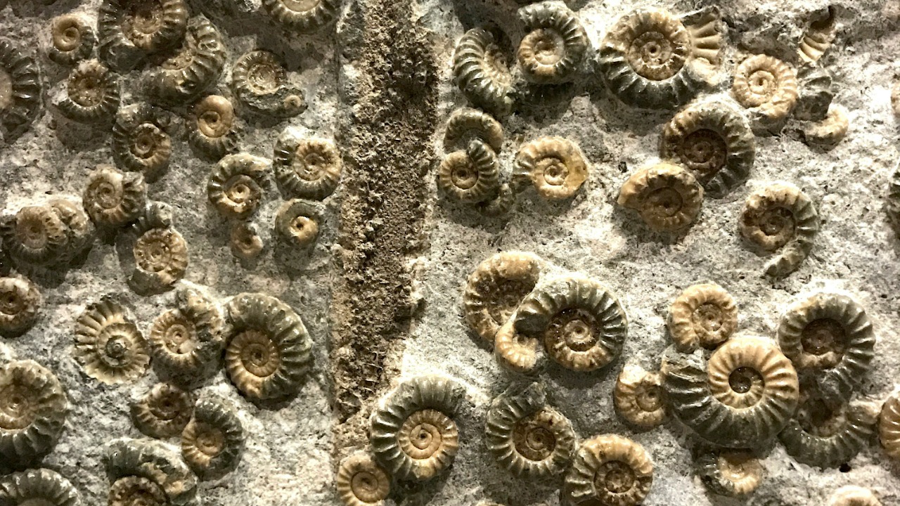 gabrielle_ellecreative/Unsplash