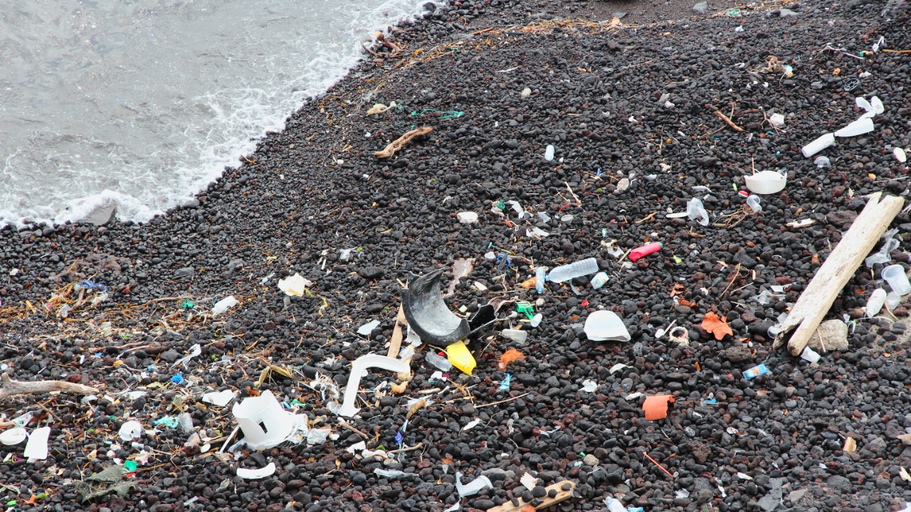 Image Credit: Marek Ślusarczyk (Tupungato) Photo portfolio - CC BY 3.0/Wiki Commons