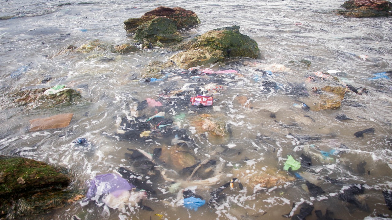 Image Credit: Esthee2010 - CC BY-SA 4.0/Wiki Commons