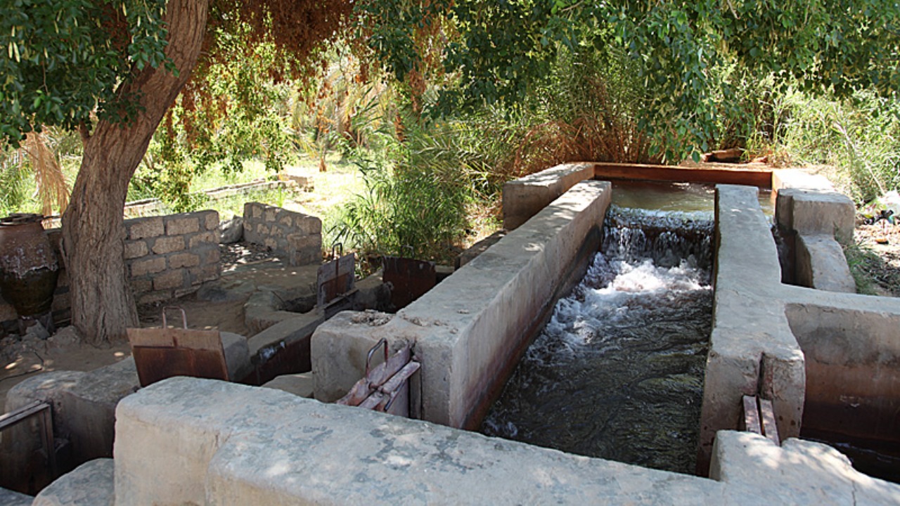 Image Credit: Roland Unger - CC BY-SA 3.0/Wiki Commons