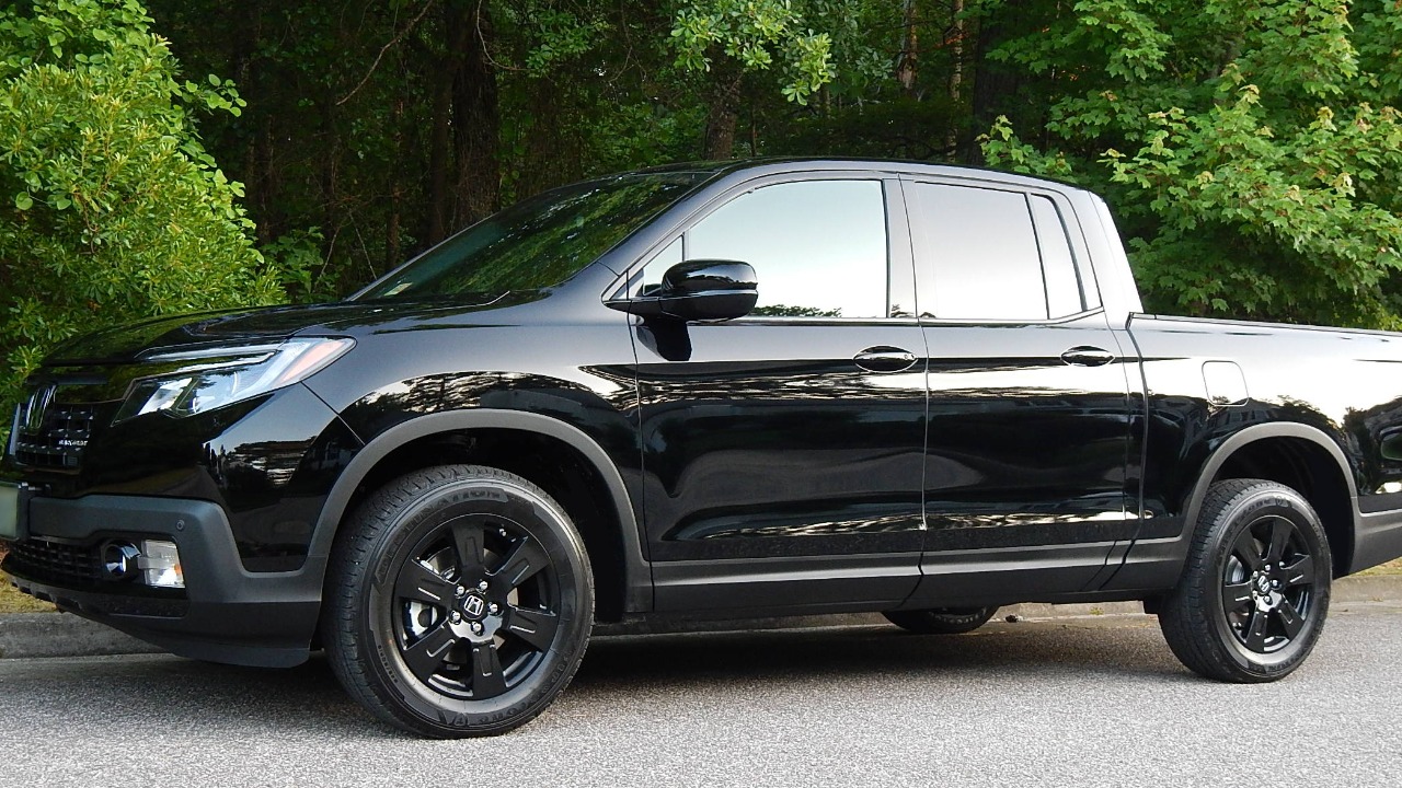 Image Credit: Jim Denkert - CC BY 4.0/Wiki Commons