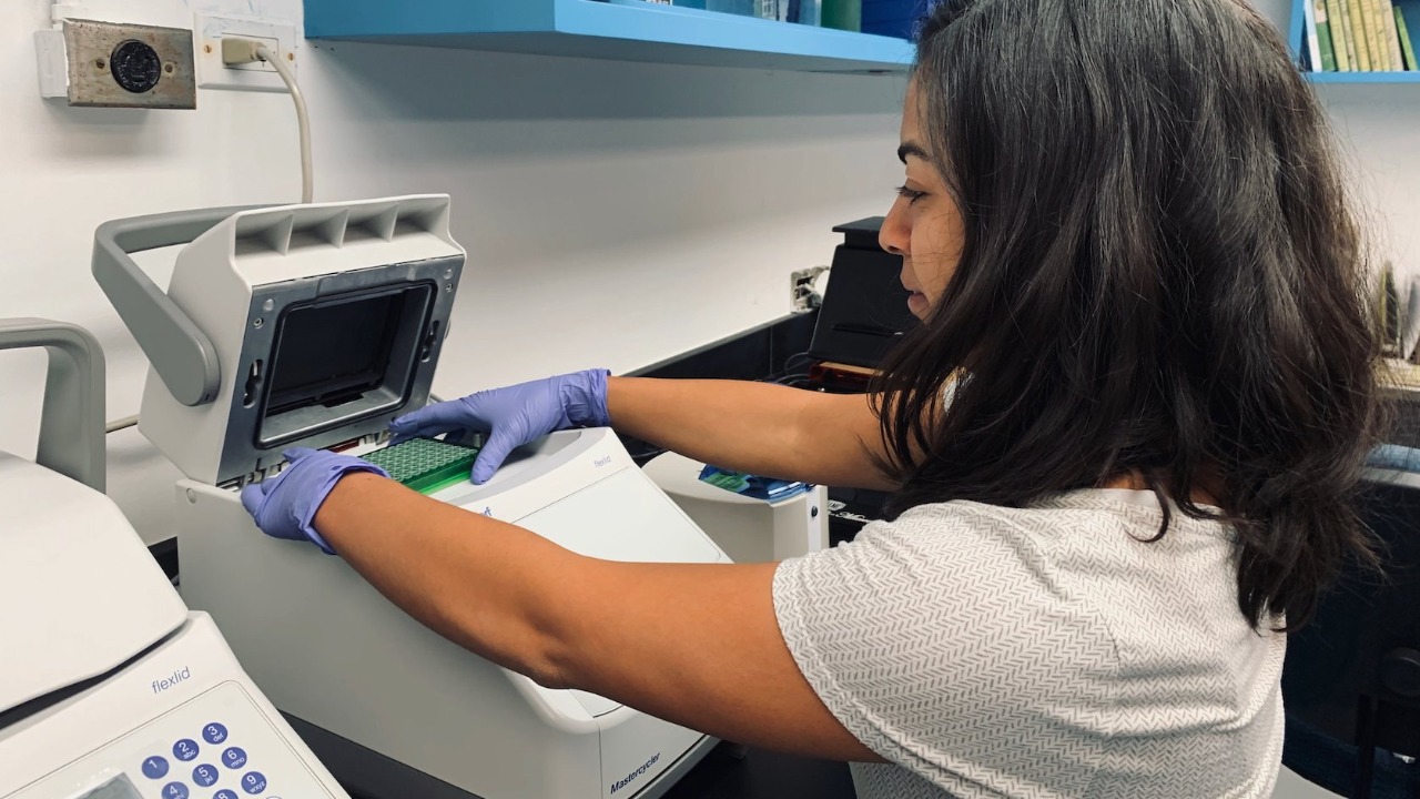 Image Credit: NOAA AOML - Public domain/Wiki Commons