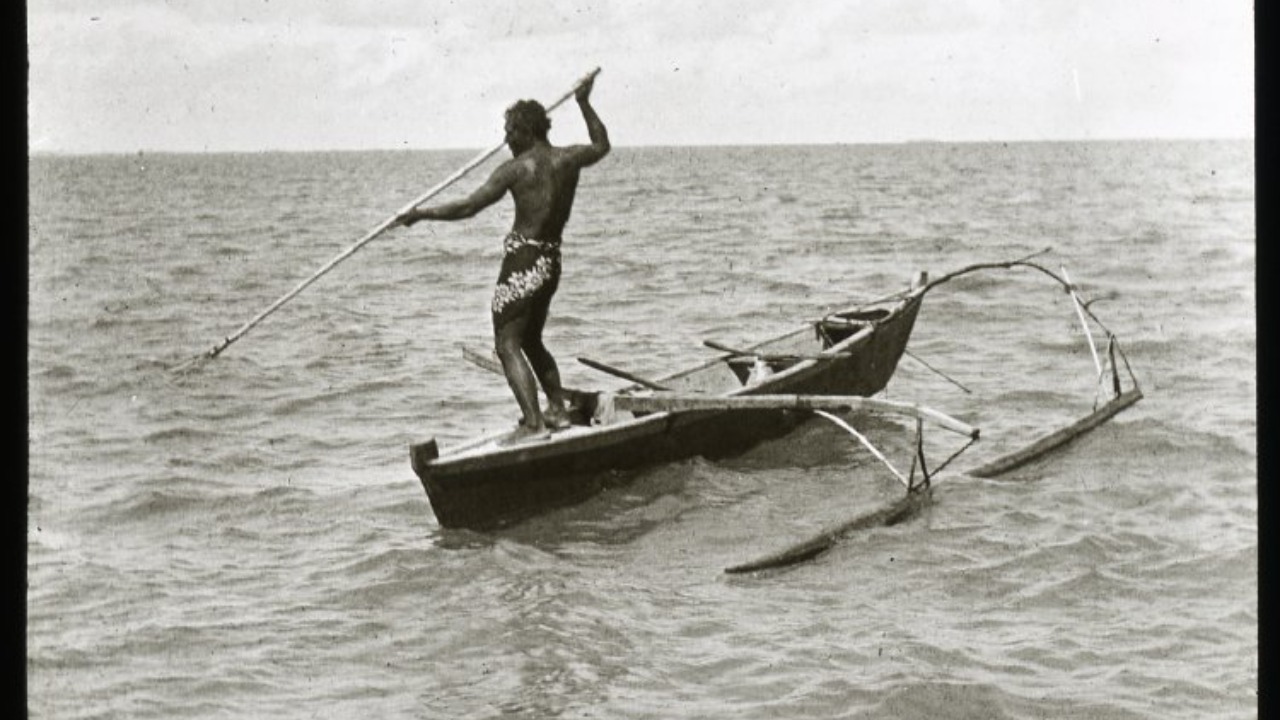 Image Credit: Unknown authorUnknown author - Public domain/Wiki Commons