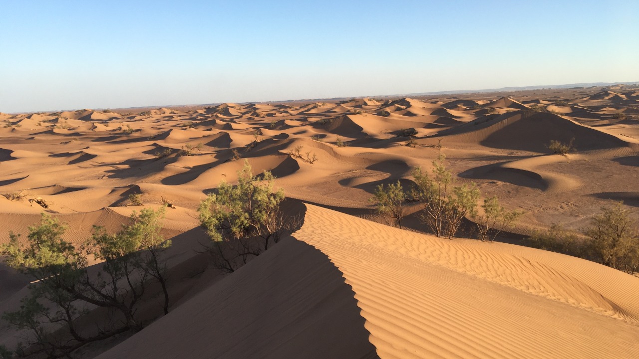 Image Credit: Hammou bakkass - CC BY-SA 4.0/Wiki Commons