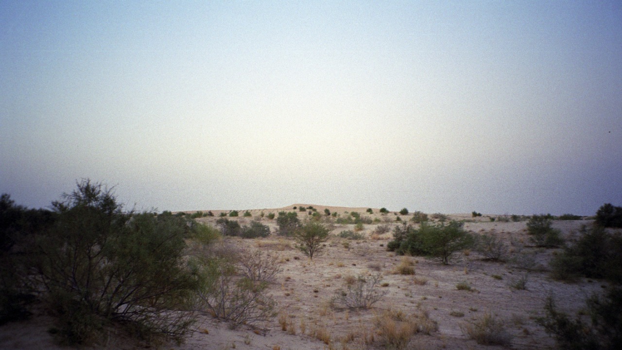 Image Credit: upyernoz from Haverford, USA - CC BY 2.0/Wiki Commons