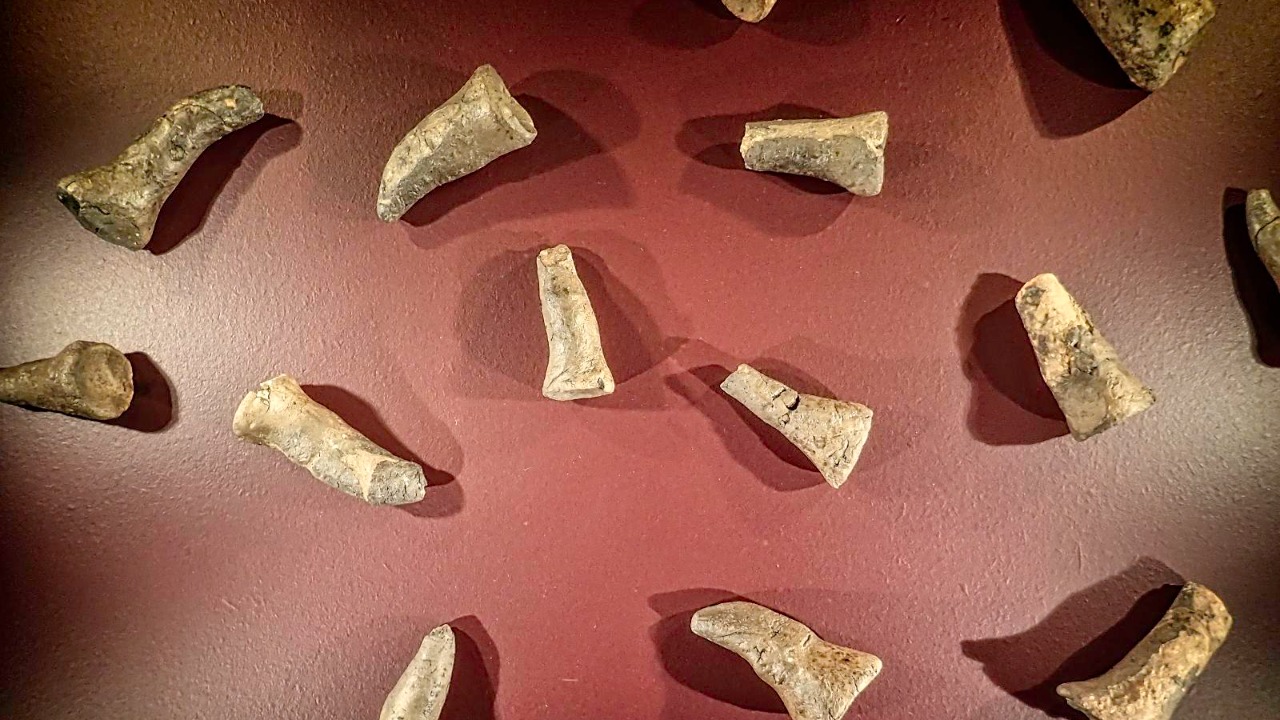 Image Credit: Mary Harrsch - CC BY 2.0/Wiki Commons