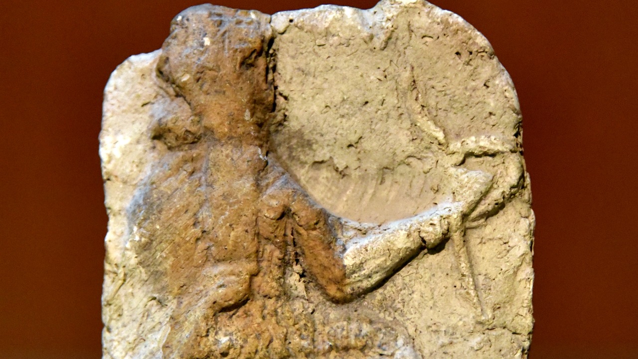 Image Credit: Osama Shukir Muhammed Amin FRCP(Glasg) - CC BY-SA 4.0/Wiki Commons