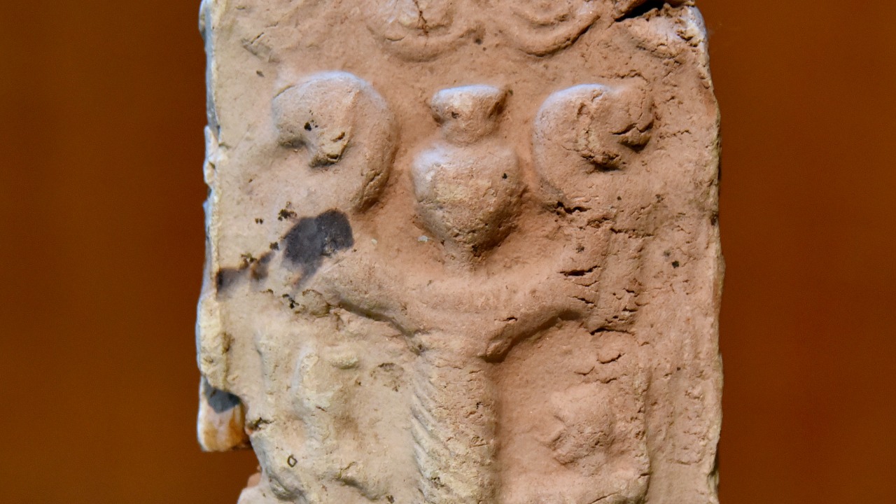 Image Credit: Osama Shukir Muhammed Amin FRCP(Glasg) - CC BY-SA 4.0/Wiki Commons