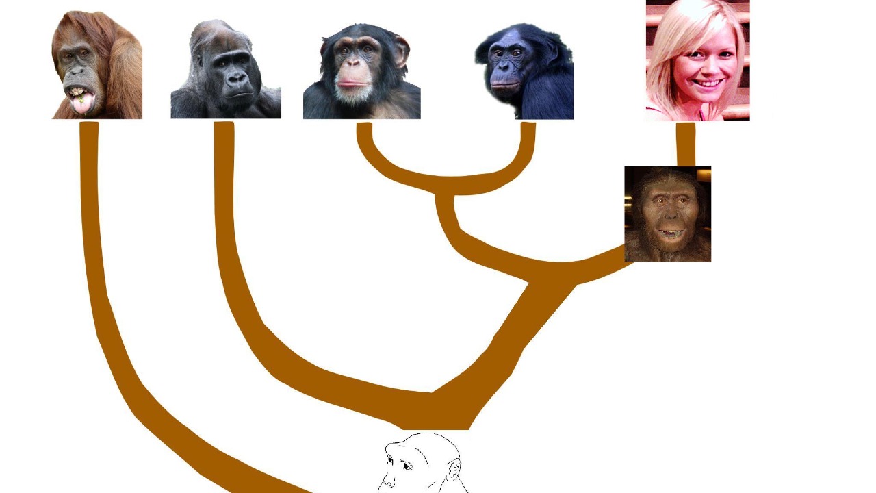 Image Credit: Armin Kübelbeck - CC BY-SA 3.0/Wiki Commons