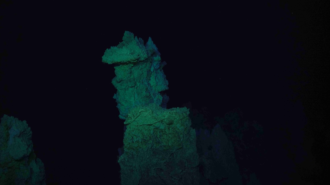 Image Credit: “Susan Lang, U. of SC. / NSF / ROV Jason / 2018 © Woods Hole Oceanographic Institution.” - CC BY-SA 4.0/Wiki Commons