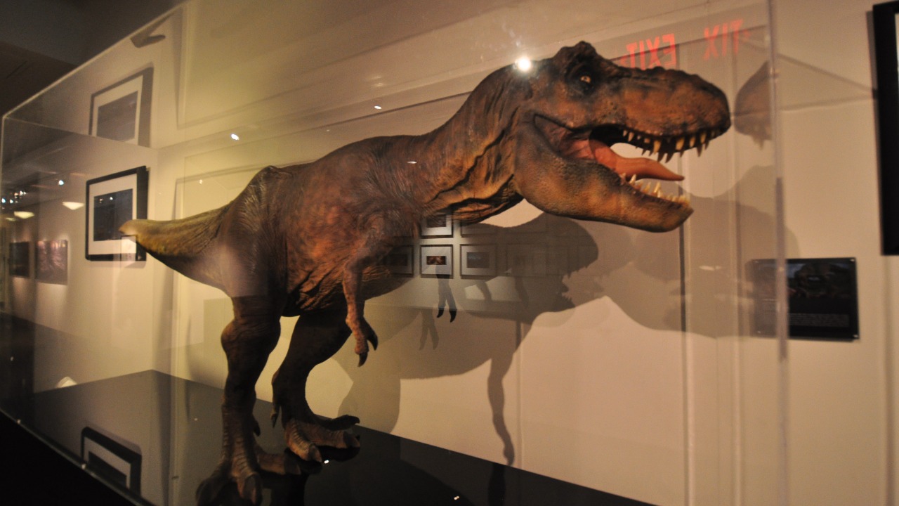 Image Credit: Nick Nguyen from San Jose, CA, USA - CC BY-SA 2.0/Wiki Commons