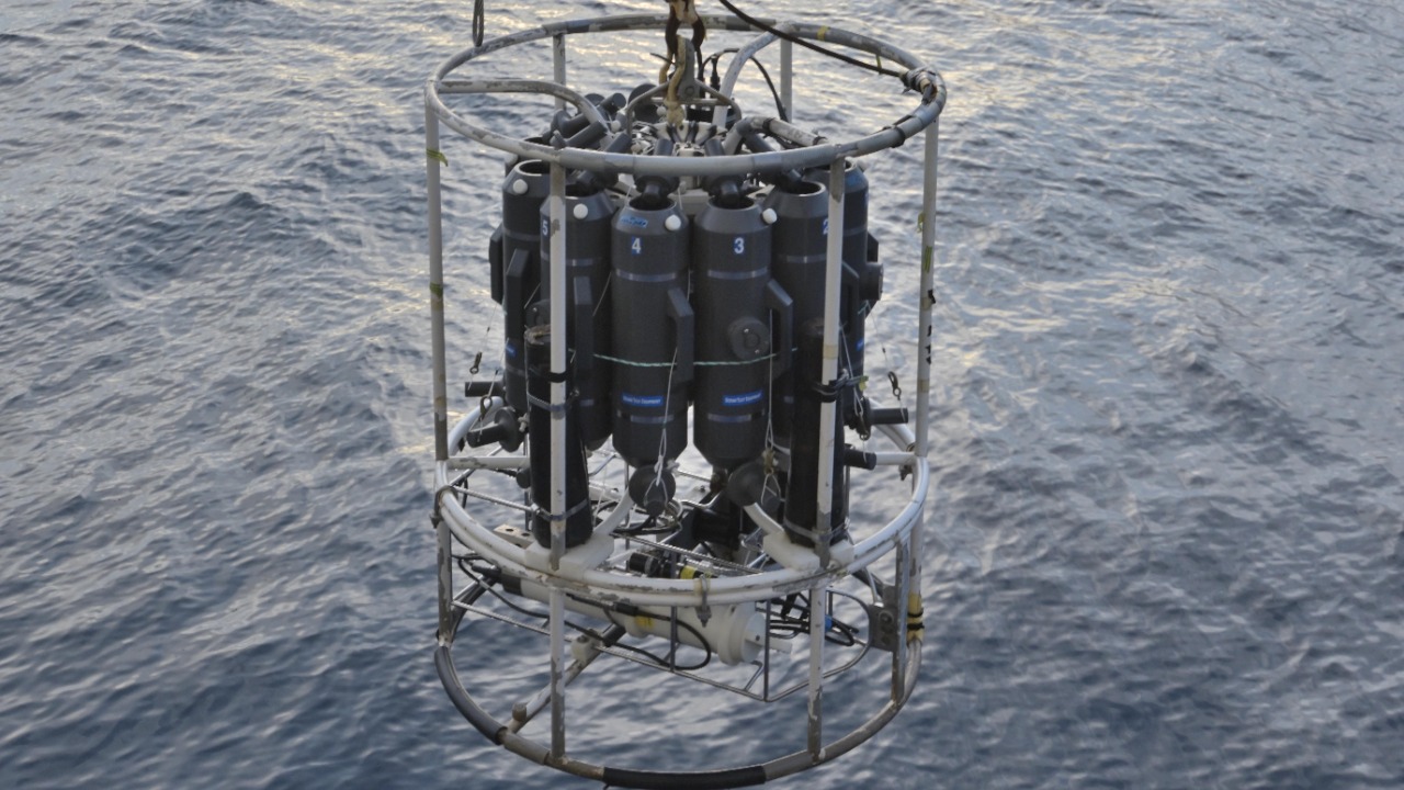 Image Credit: Stephane Lesbats - CC BY 4.0/Wiki Commons