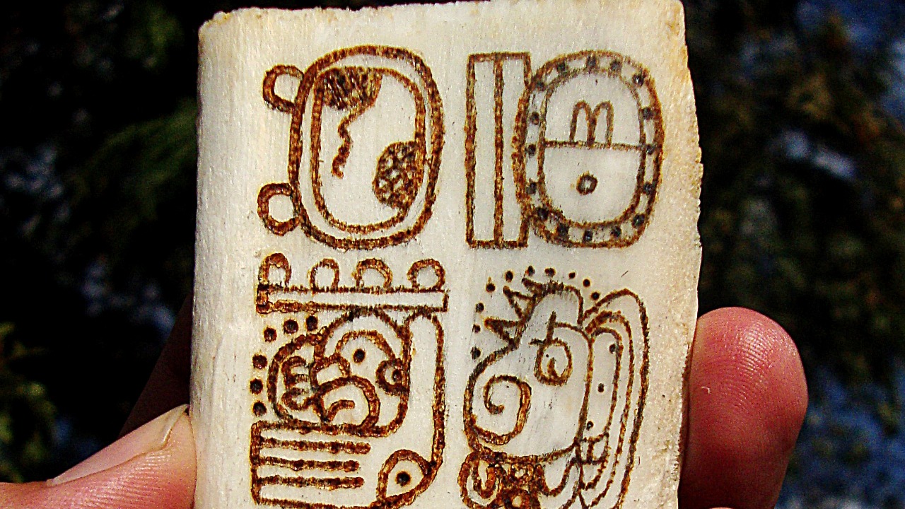 Image Credit: Miguel Angel Omaña Rojas - CC0/Wiki Commons