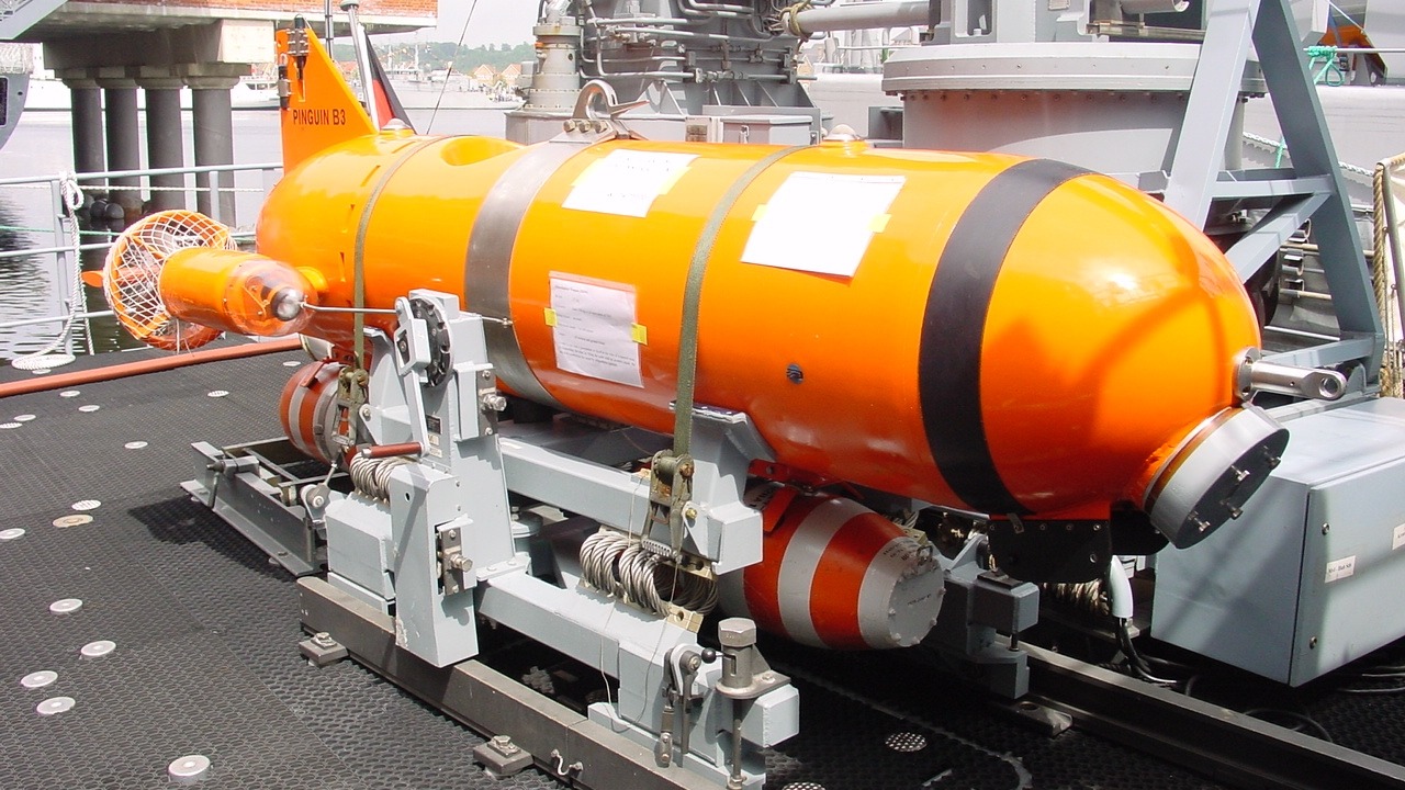 Image Credit: unknown - CC BY-SA 3.0/Wiki Commons