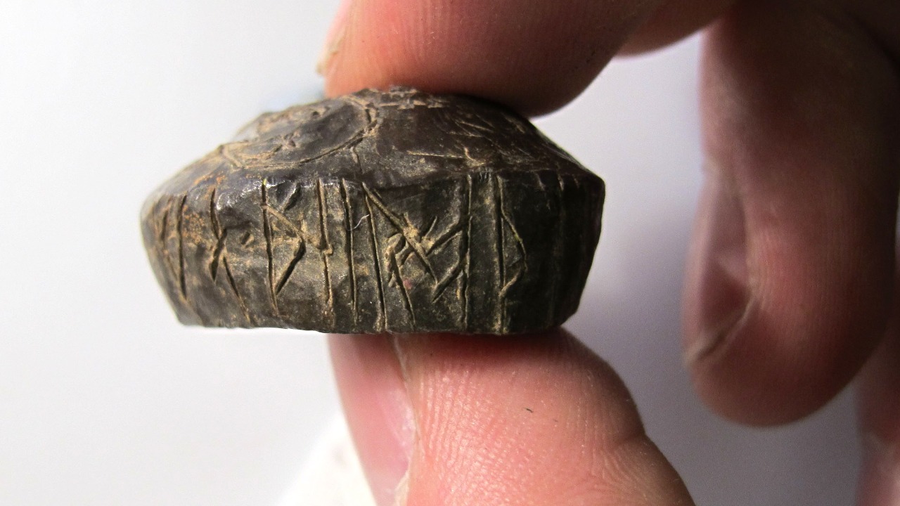 Image Credit: Lincolnshire County Council, Adam Daubney, 2011-04-27 11:43:56 - CC BY-SA 2.0/Wiki Commons