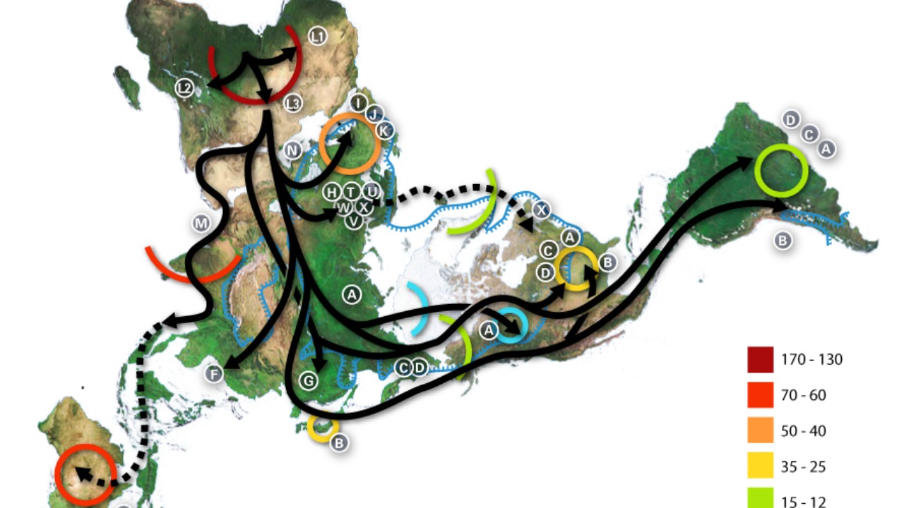 Image Credit: unknown - CC BY-SA 3.0/Wiki Commons