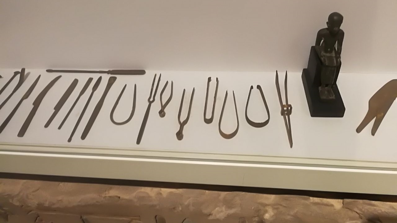 Image Credit: Ashashyou - CC BY-SA 4.0/Wiki Commons