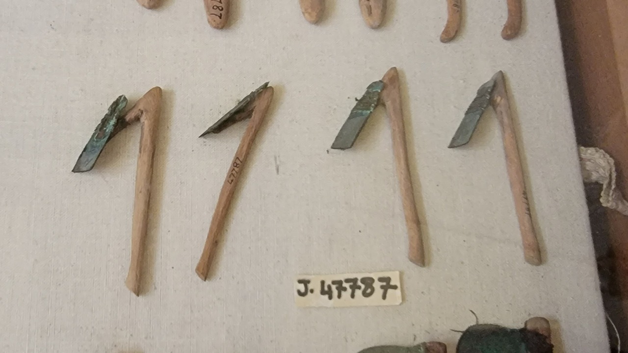 Image Credit: Votpuske - CC BY-SA 4.0/Wiki Commons