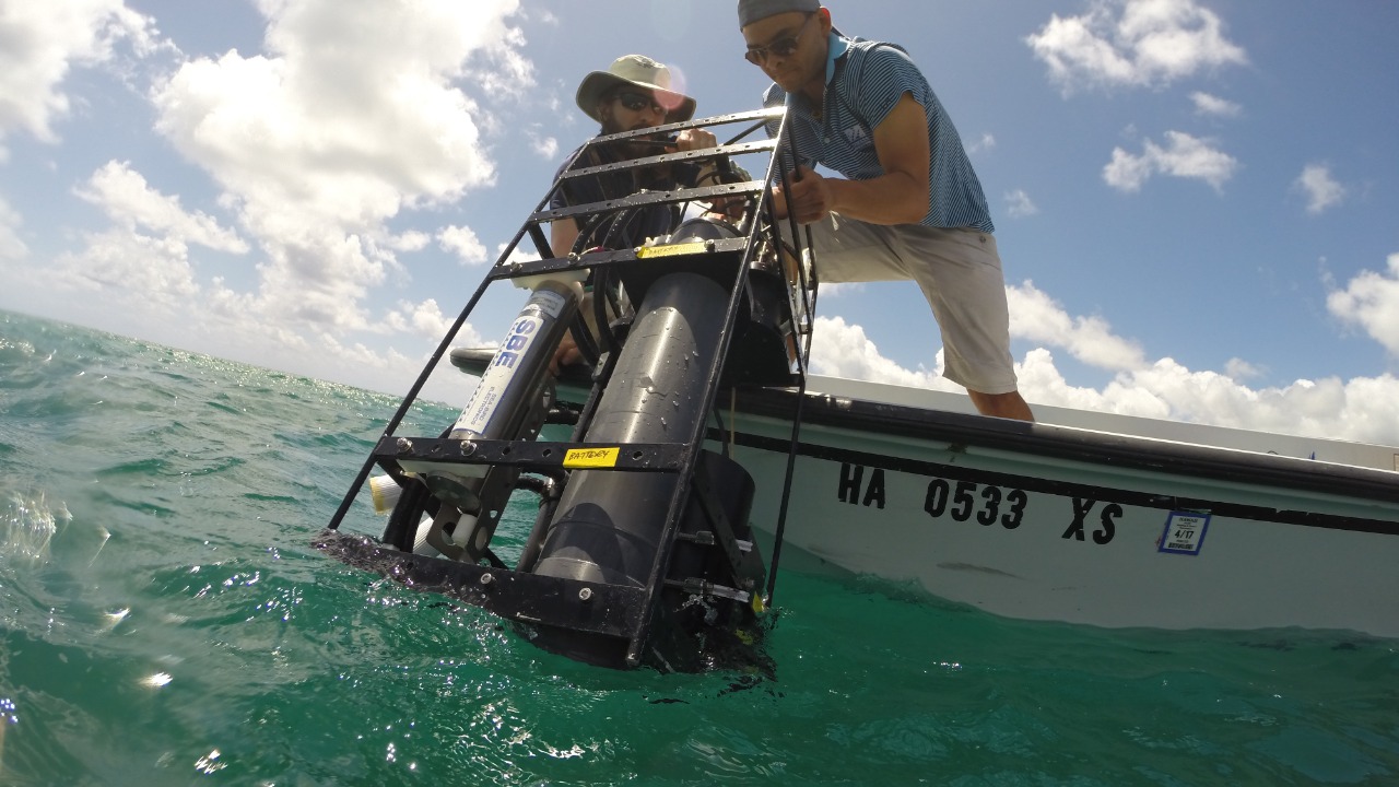 Image Credit: NASA Earth RIght Now - Public domain/Wiki Commons