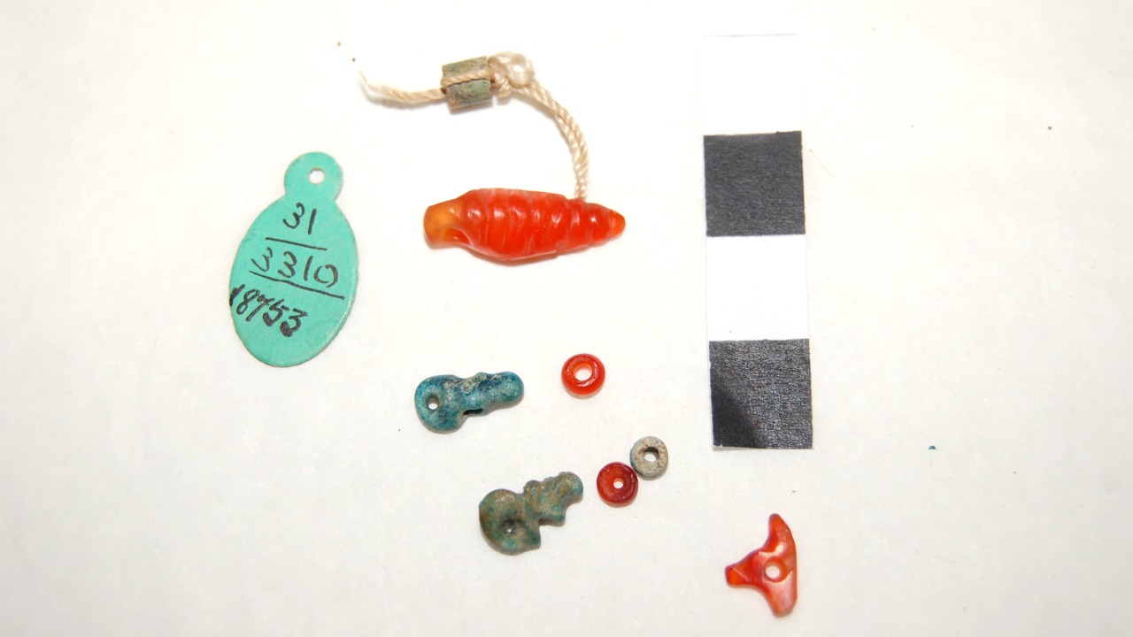 Image Credit: unknown - CC BY 4.0/Wiki Commons