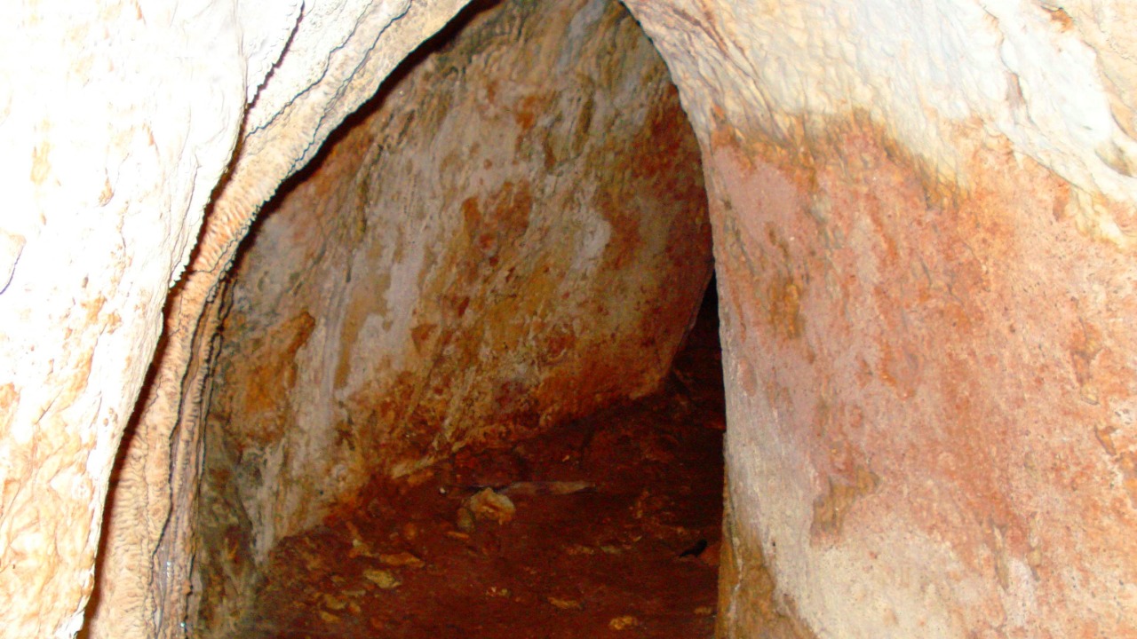 Giant tunnels in South America exist, and humans didn’t build them