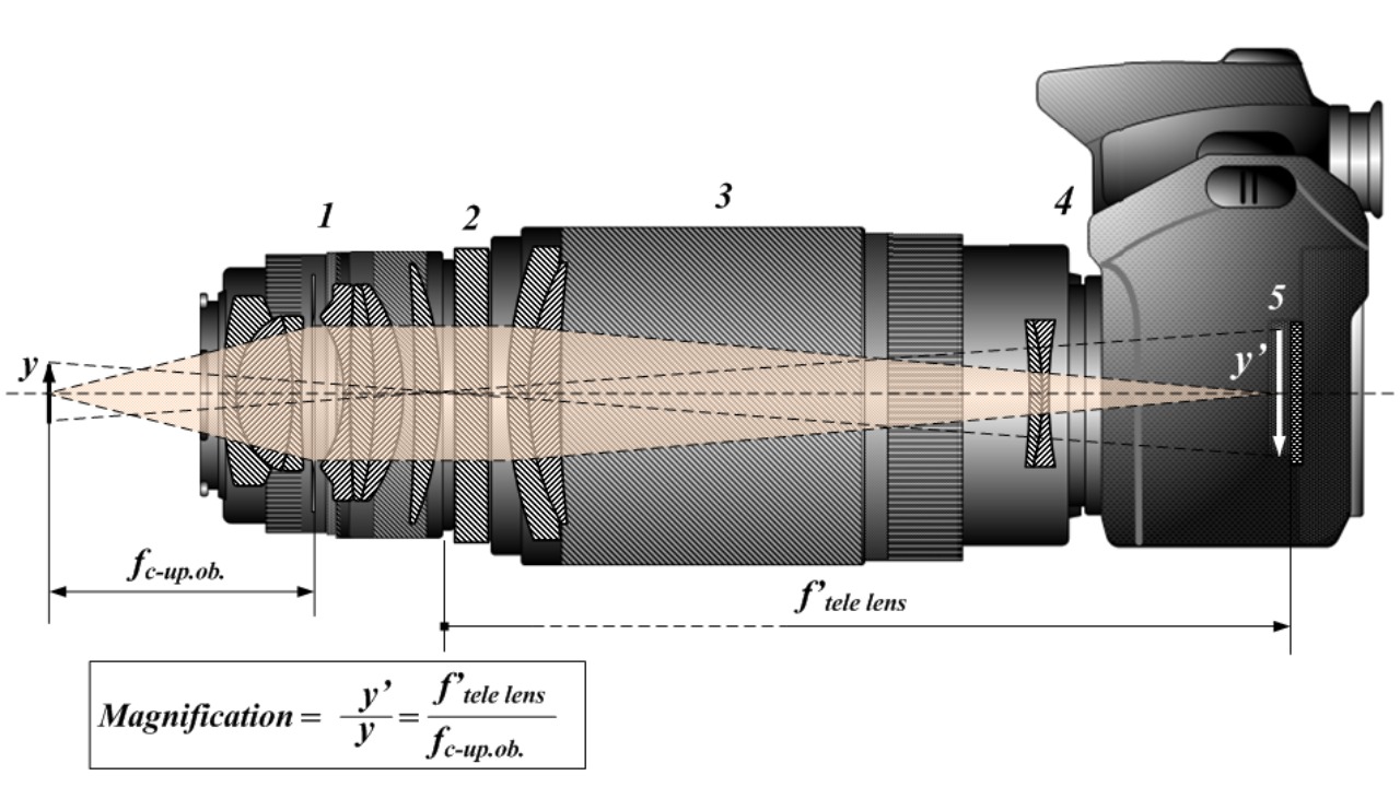 Image Credit: Tamasflex - CC BY-SA 3.0/Wiki Commons