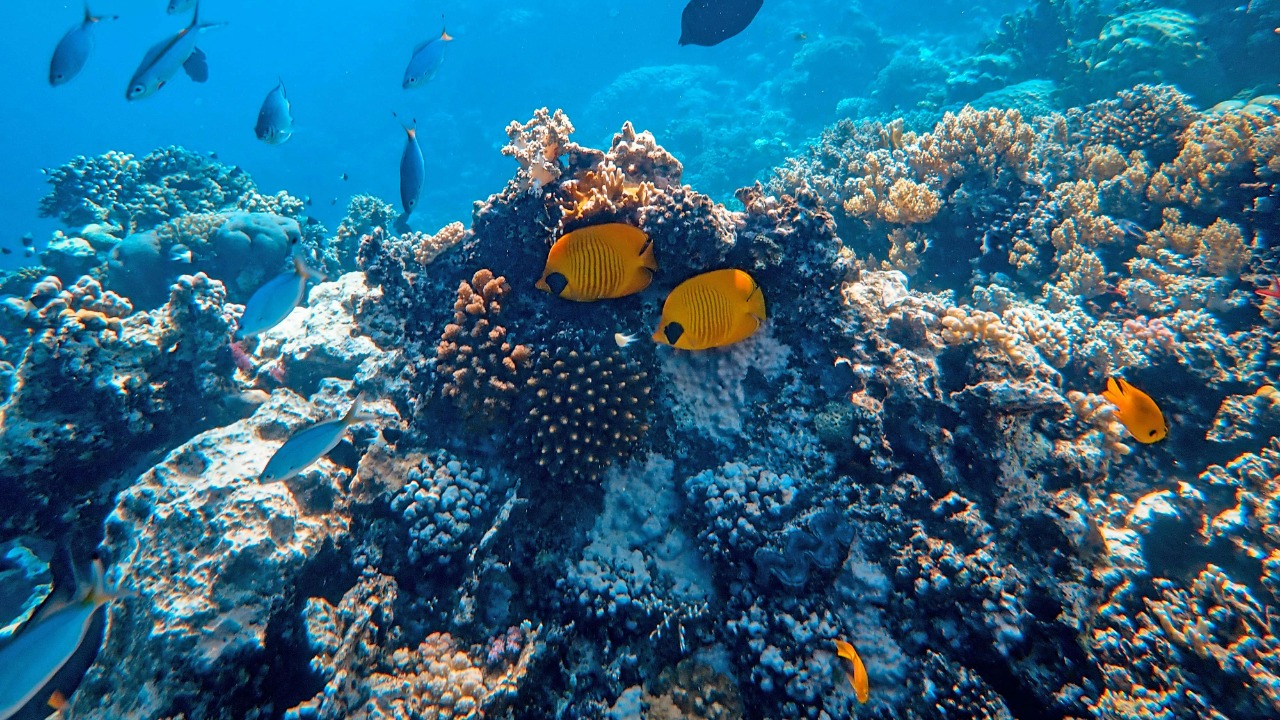 Francesco Ungaro/Pexels