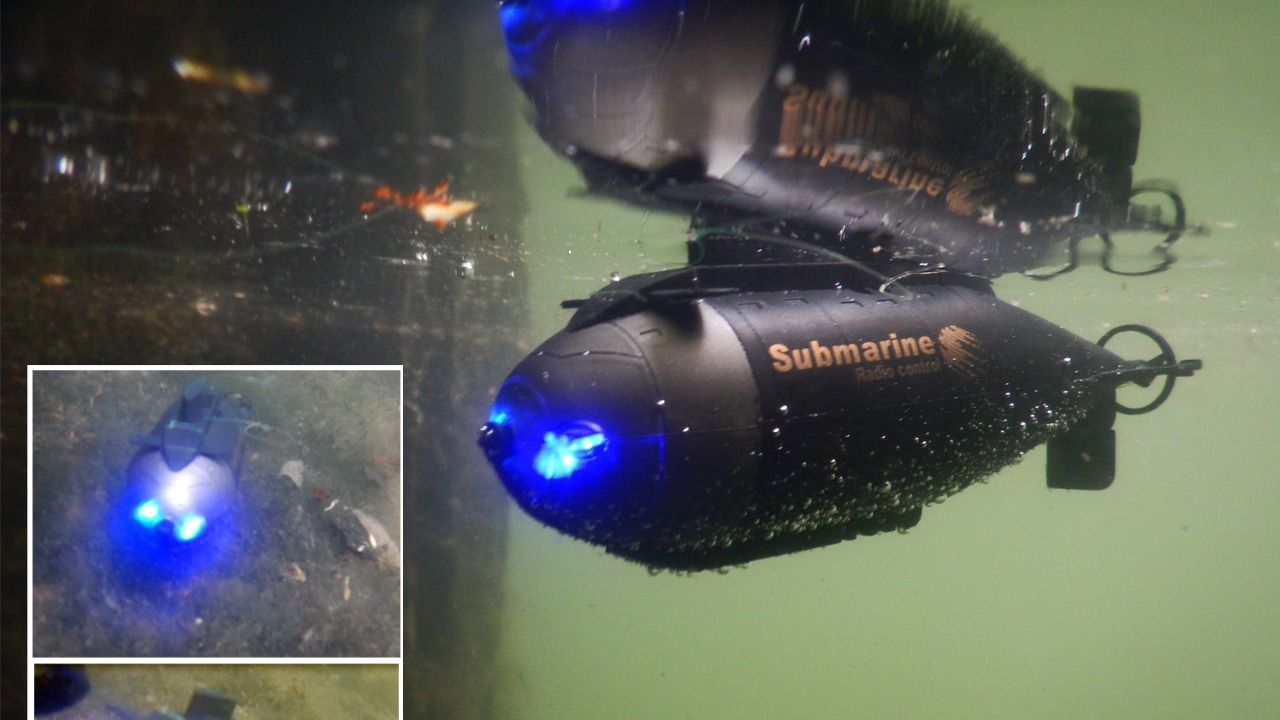 Image Credit: Lamiot - CC BY-SA 4.0/Wiki Commons