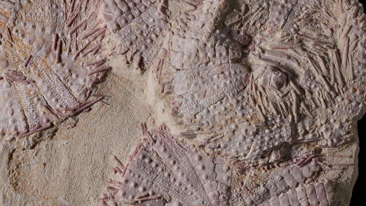 birminghammuseumstrust/Unsplash