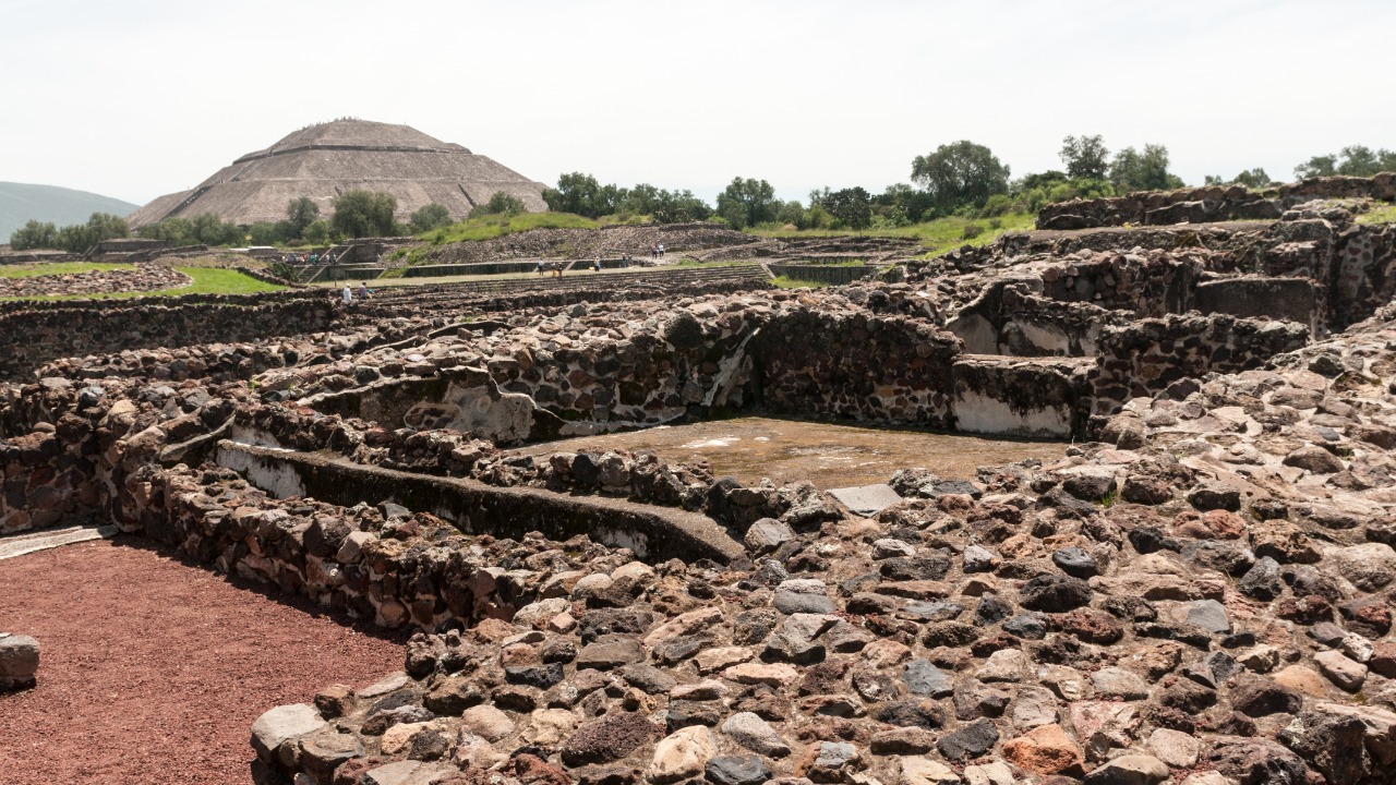 Image Credit: Ralf Roletschek - GFDL 1.2/Wiki Commons