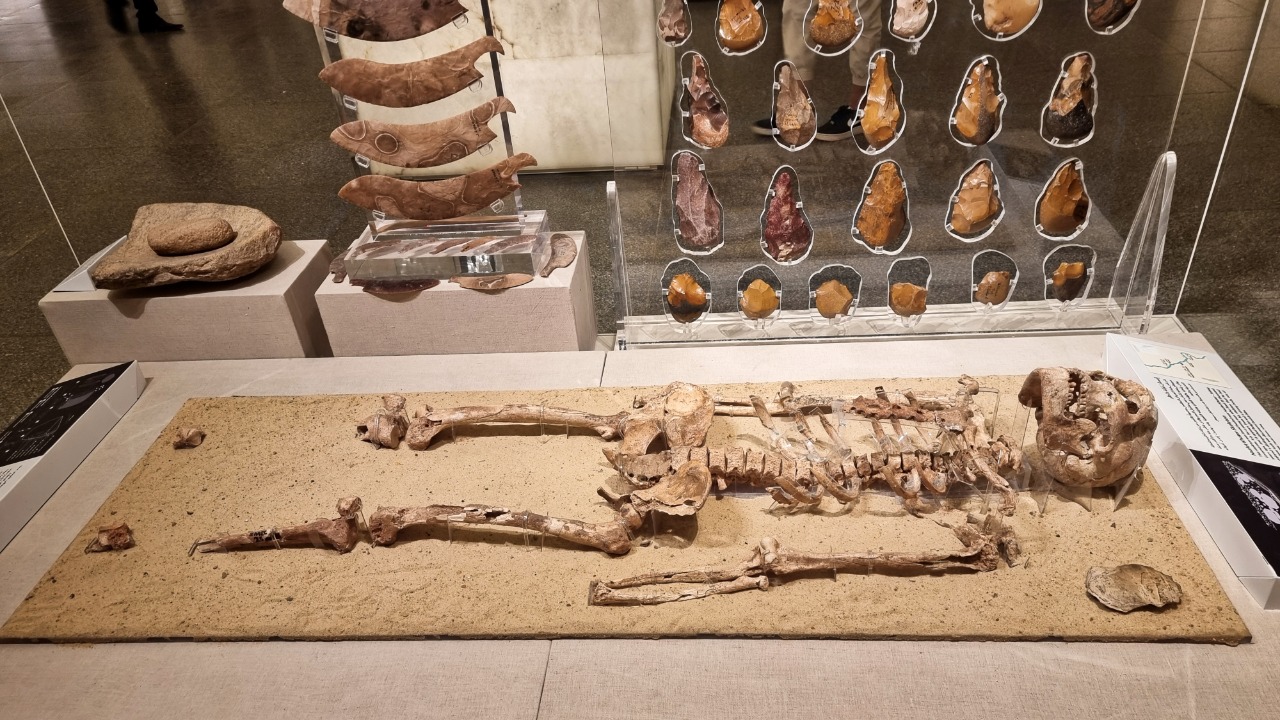 Image Credit: Richard Mortel - CC BY 2.0/Wiki Commons