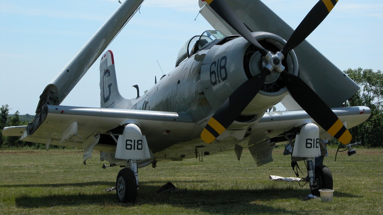 Image Credit: Lionel Allorge - CC BY-SA 3.0/Wiki Commons