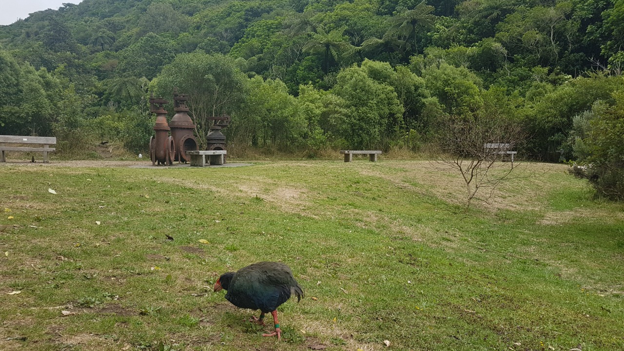 Image Credit: L Maule - CC BY-SA 4.0/Wiki Commons