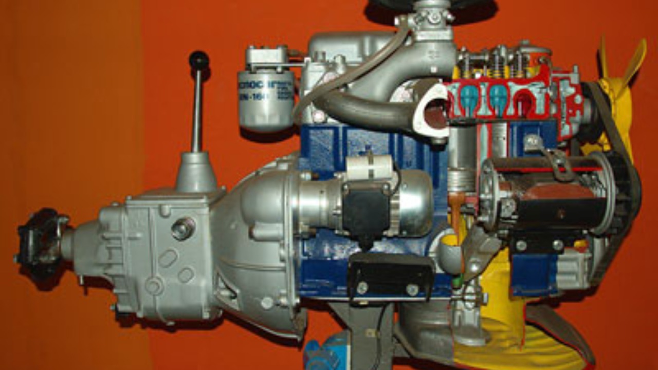 Image Credit: Gyurmet - CC0/Wiki Commons