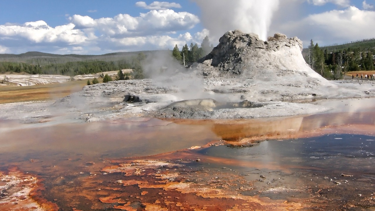 Image Credit: user: Flicka, Edited (Sharpening - Downsampled) by Arad Mojtahedi. - CC BY-SA 3.0/Wiki Commons